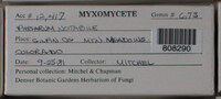 Image Associated With the Occurence